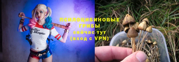 ГАЛЛЮЦИНОГЕННЫЕ ГРИБЫ Армянск